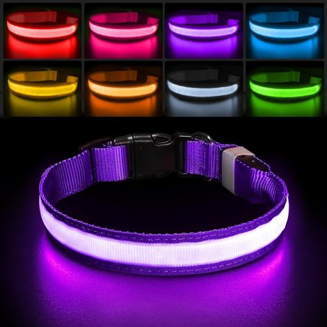 Leuchtendes Hundehalsband, wiederaufladbar und wasserdicht, LED-Blinkhalsband, fluoreszierendes Hundehalsband mit 7 Farben, verstellbare Sicherheit für kleine, mittlere und große Hunde, Lila-S (1/5)