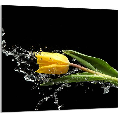 Panneau de verre pour cuisine 65x60 Tulipe (1/5)