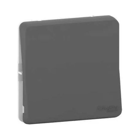 Interruttore sezionatore MUREVA grigio IP55 10 AX 250 V AC 1 polo 2 vie