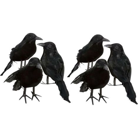 6 x corbeau décoratif d'Halloween corbeau artificiel avec plumes d'oiseau noir (1/5)