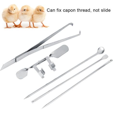 Kit Castration de Poulet en Acier Carbone [Équipement Ferme] + Kit Complet + Équipement et outils pour castration capon (Expander, Knife, Spoon, Needle) – Set Professionnel Ferme & Élevage (1/5)