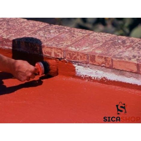 Guaina Liquida impermeabilizzante  20 Lt.  Rosso (1/2)