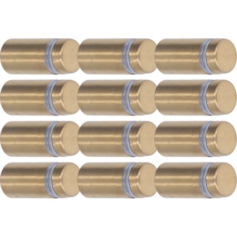 12 Edelstahl-Befestigungsschrauben für Acrylplatten, Wandschildernägel, Beschläge, 12x25mm, 12er-Packung. (1/5)