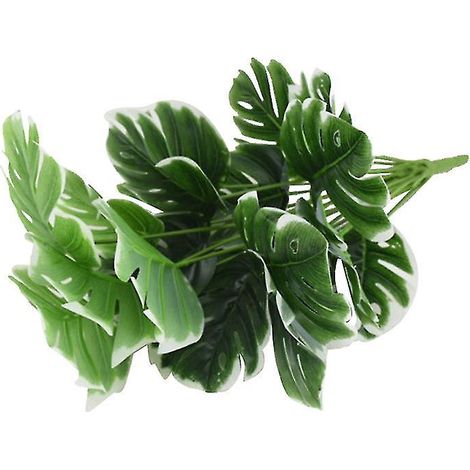1 feuille de Monstera (1/3)