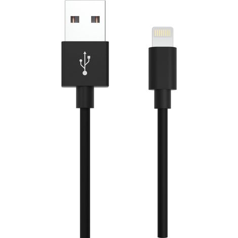 ANSMANN Câble USB vers Lightning spécial appareils Apple 200 cm (1 pce) (1/5)