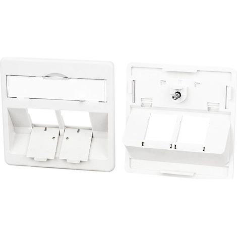 PLAQUE CENTRALE 50 X 50 MM 2 PORTS RW MODULE METZ CONNECT 860210-0202-I