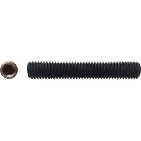 200 Vis Sans Tête 6 Pans Creux à Bout Plat STHC 10 x 12 mm - DIN 913 - 45H - Brut - D-Work (1/3)