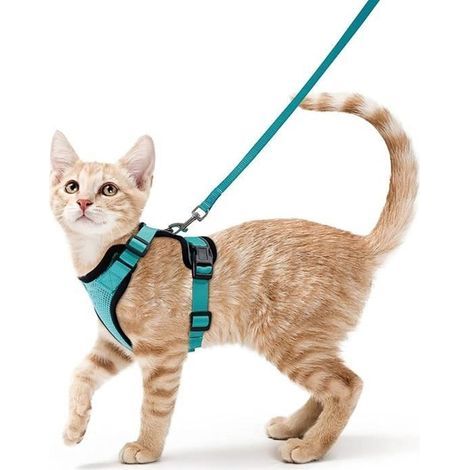 (Blau) Verstellbares Katzen-/Hundegeschirr, Seeblau, Größe S - Atmungsaktive, reflektierende Weste - Für Kaninchen, Europäisch Kurzhaar, Maine Coons, Perserkatzen - Leinenbefestigung (1/4)