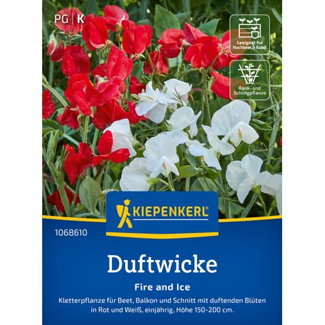 Kiepenkerl Blumensamen Duftwicke Fire and Ice für ca. 25 Pflanzen