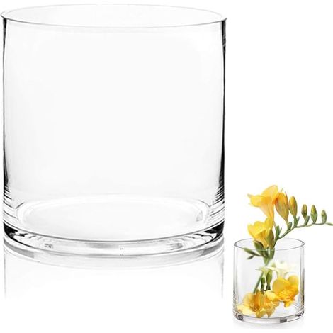 Vase Transparent en Verre 15 x 15 cm Cylindrique Décoratif pour Fleurs et Pampas Grand Moderne Salon (1/5)