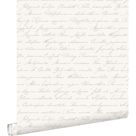 Papier peint à motif fleurs manuscrites en latin argent – Dimensions 53cm x 10,05m – Écologique et facile à poser – Estahome (1/5)