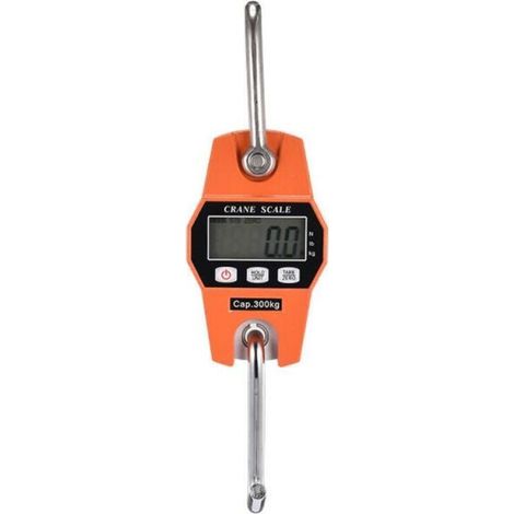Peson Electronique 300kg Balance Crochet Suspendu Dynamomètre LCD Crochet Peseur Industrielle Pèse Poids 300kg/600lbs (1/4)