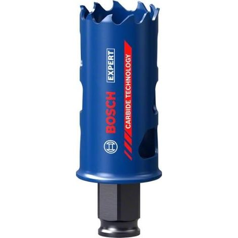 Bosch HSS-Bügelsäge Expert Carbide 32 mm langlebig