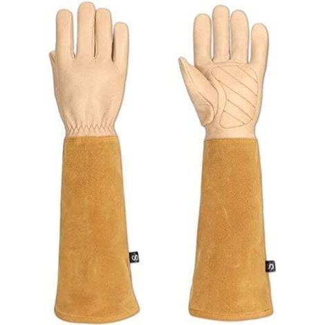 Gants de jardin spécial rosier et épineux pour homme et femme, cuir de chèvre, protègent vos bras jusqu'aux coudes (HCT05) M (1/2)