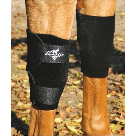 Ginocchiera cavallo Professional's Choice KB101