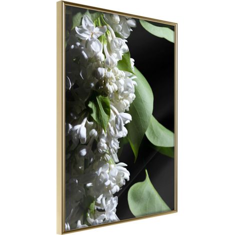 Affiche Murale Encadrée "Fragrant Spring" 30 x 42 cm Or