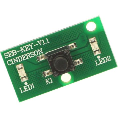 Tarjeta electrónica RS-2230001510 ROWENTA
