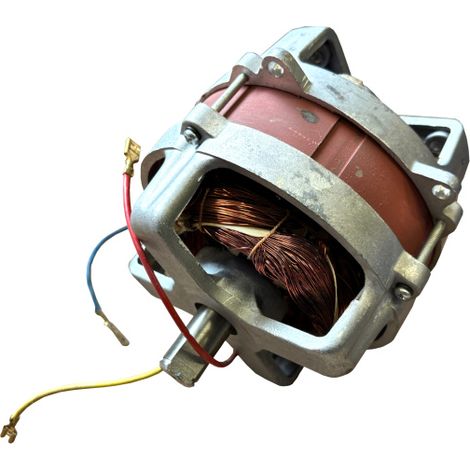 Ersatzmotor Elektromotor Motor für Elektrorasenmäher uvm. (1/5)