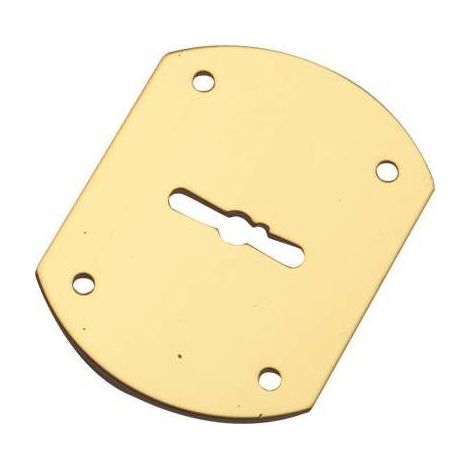5,0 x MOSTRINA PORTA BLINDATA A BOTTE 95223/B MOTTURA