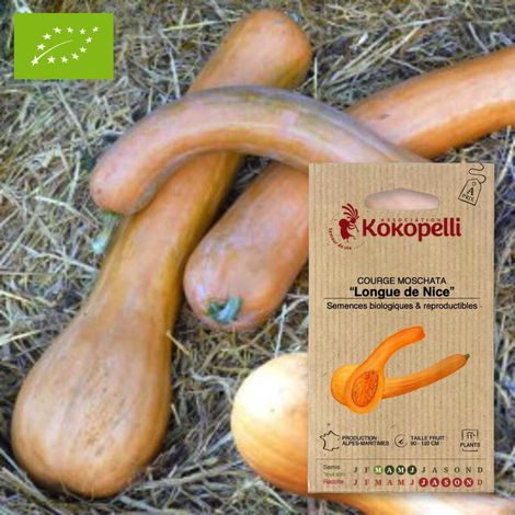 Courge Longue de Nice- Graines bio à semer