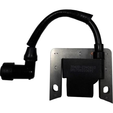 Zündspule für RATO RV170 Rasenmäher-/Freischneidermotor