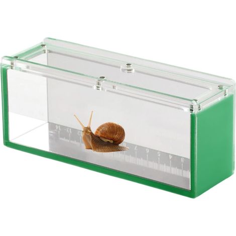 dobservation des Poissons bote de Reproduction en Poisson (1/5)