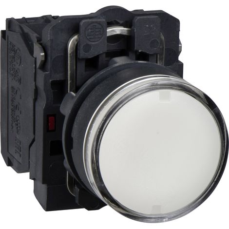 Schneider Electric XB5AW31B5 XB5AW31B5 Leuchtdrucktaster 600 V 6 A tastend IP66, IP67, IP69, IP69