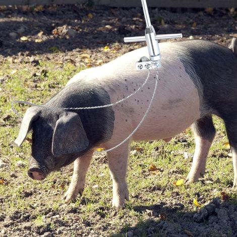 Edelstahl-Schweinefalle, Fangvorrichtung für Schweine, Viehschlinge, Landwirtschaftsgerät, langlebig (1/5)