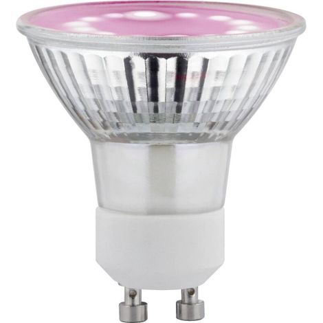Lampe LED pour plantes GU10 3.5 W ambré – Spectre de croissance 1100 K – 95 lm – Durée de vie 15000 h – 1 ampoule - C002532 (1/5)