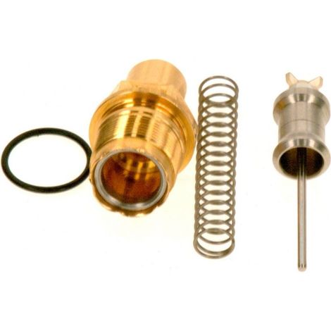 BOSCH Regulador de caudal de agua, 87074020150