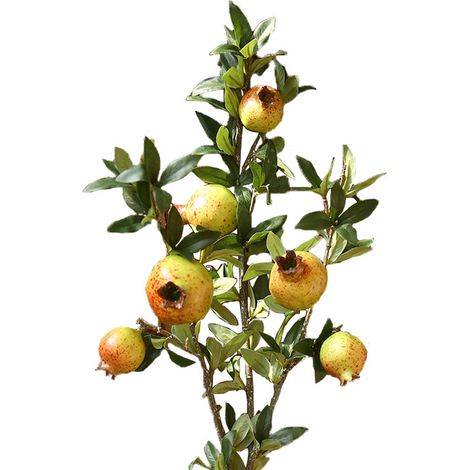 Grenades artificielles américaines, fleurs simulant de faux fruits pour la décoration de la maison et de l'hôtel (1/5)