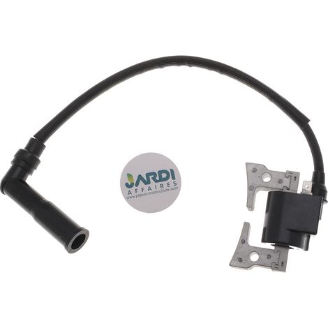 Bobine d'allumage compatible avec Robin remplace 20B-79430-H1 (1/3)