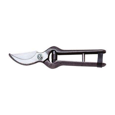 AUSONIA REBSCHERE 19 cm