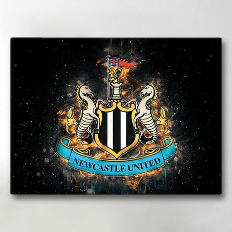Impression sur toile / Peinture - Newcastle United - 40 x 30 cm - Toile (1/4)