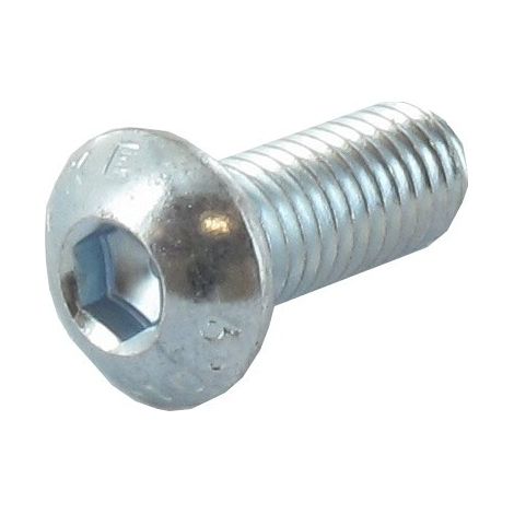 Vis tête bombée M8x20 mm GGP - CASTELGARDEN 112760605/0