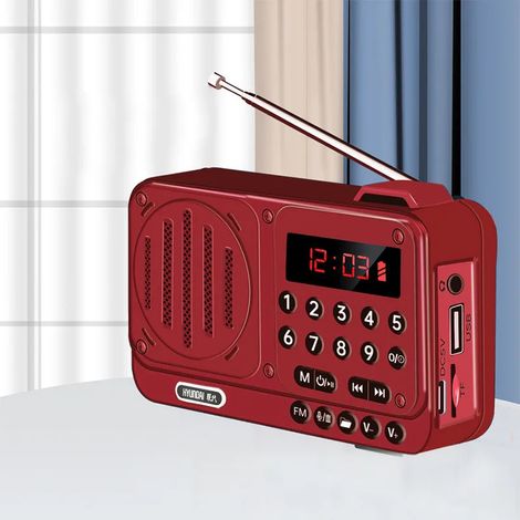 Mini radio FM de poche, récepteur radio portable haute sensibilité, haut-parleur intégré haute puissance, écran LED, enregistrement d'écran, lecture de dossiers (1/5)