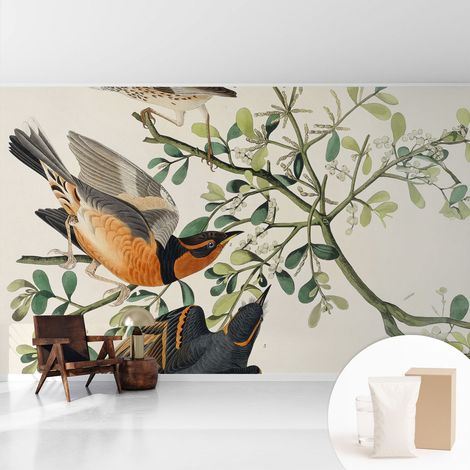 Newroom Tapete Dekorative Vliestapete mit Kleber Modern für Wohnzimmer Schlafzimmer Bunte Vögel 416x254 cm (1/5)