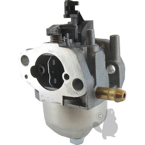 Carburatore motore 4 tempi TRATTORINO RASAERBA WBE0701 GGP 221974 118550251/0