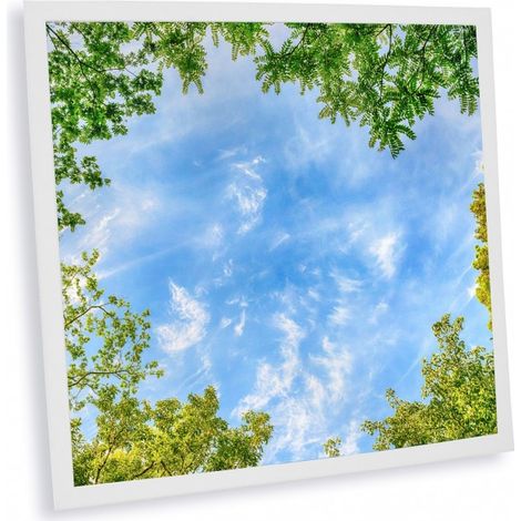 Pack de 1 dalle LED imprimée - Central Park - 600x600mm - Fabriqué en France (alimentation non fournie)