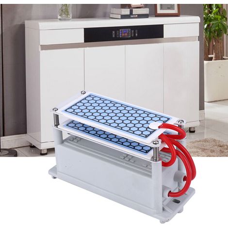Générateur d'ozone intégré pour la maison, purificateur d'air et désodorisant, générateur d'ozone 10 g AC110 V (1/5)