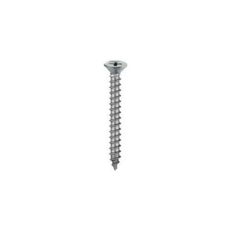 20 VITI AUTOFILETTANTI TESTA PIANA SVASATA INOX 3,5X25MM. (1/5)