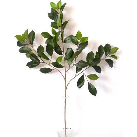 Branche de ficus artifiel Retusa H 65 cm