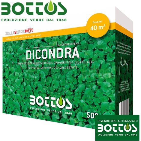 Dichondra Repens - Sementi per prato da 500 Gg