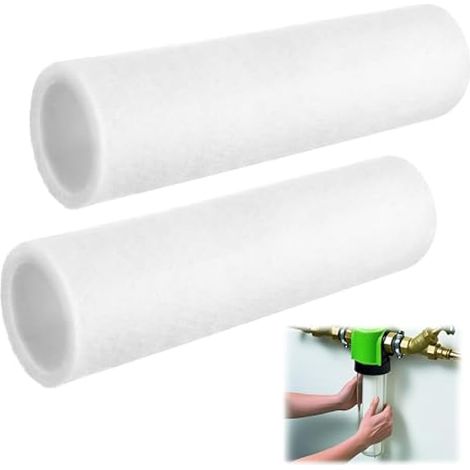 2 filtres de remplacement, compatibles avec le filtre à eau Grünbeck FS 1", compatibles avec le filtre fin Grünbeck Geno FS 1'', cartouche de remplacement pour filtre à eau domestique (1/4)