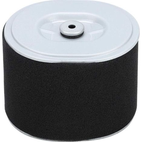 Filtre à Air Moteur Gx390 Pièce Nettoyeur Haute Pression Tondeuse à Gazon Remplacement Compatible (1/4)