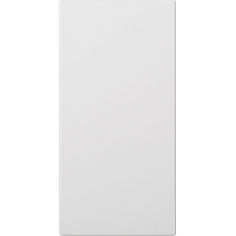 Placa ciega doble blanco SIMON 50000800-030