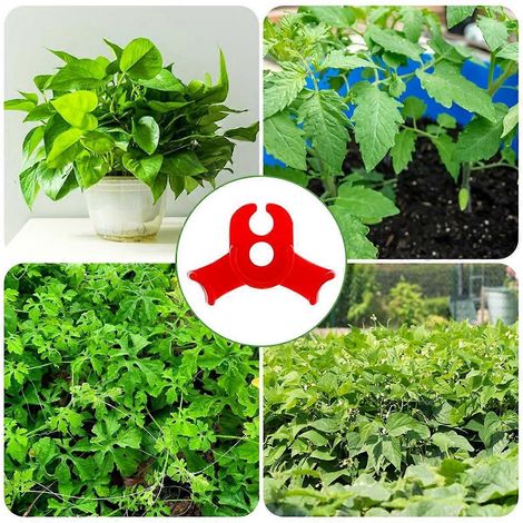 pince à plantes rouges (1/5)
