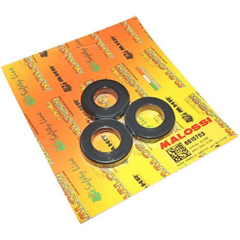 Dichtung spi Motor malossi für Motorrad Derbi 50 gpr 2006 bis (1/2)