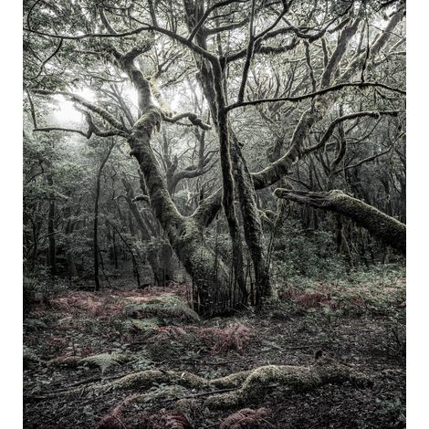 Papier peint panoramique naturel Das Model (1/4)