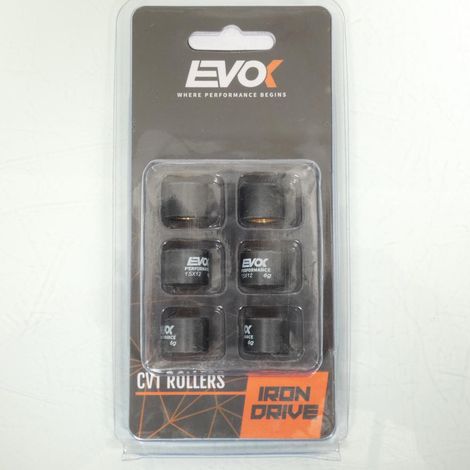 Variomatik-Rolle EVOK für Roller Malaguti 50 Crosser LC Neu (1/4)